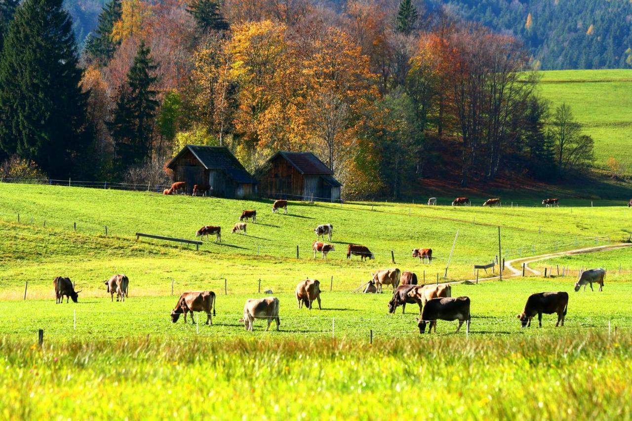 Haus Stangl Leilighet Bad Aussee Eksteriør bilde